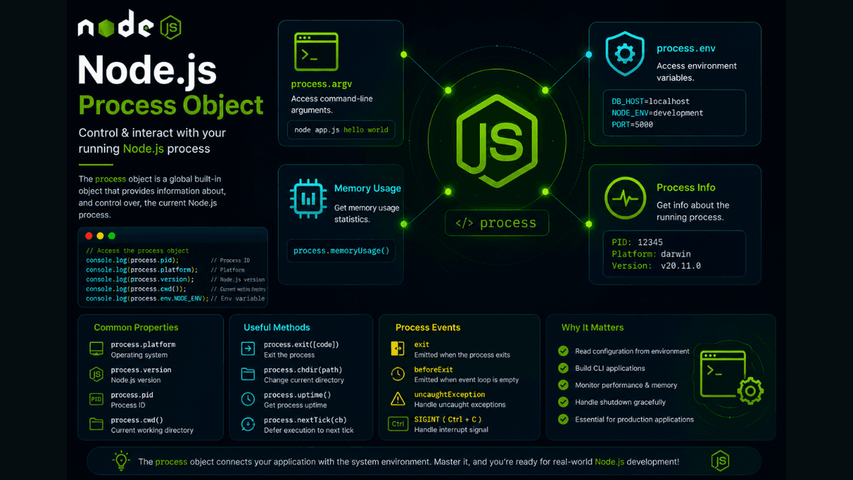 Node.js Runtime Environment Guide